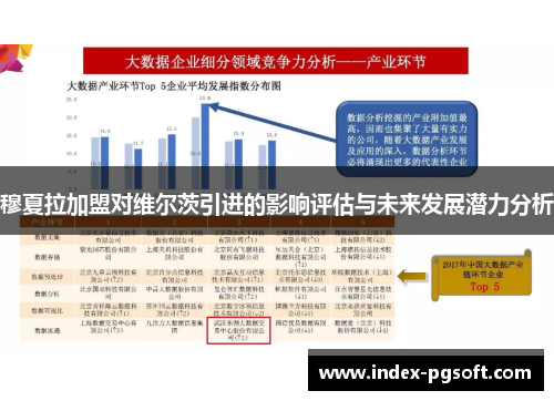 穆夏拉加盟对维尔茨引进的影响评估与未来发展潜力分析