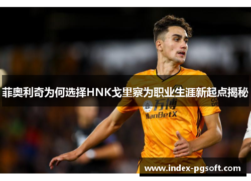 菲奥利奇为何选择HNK戈里察为职业生涯新起点揭秘